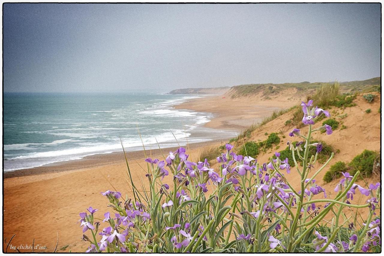 La Calypsette - Face Grande Plage Des Sables D'Olonne Les Sables-d'Olonne Ngoại thất bức ảnh