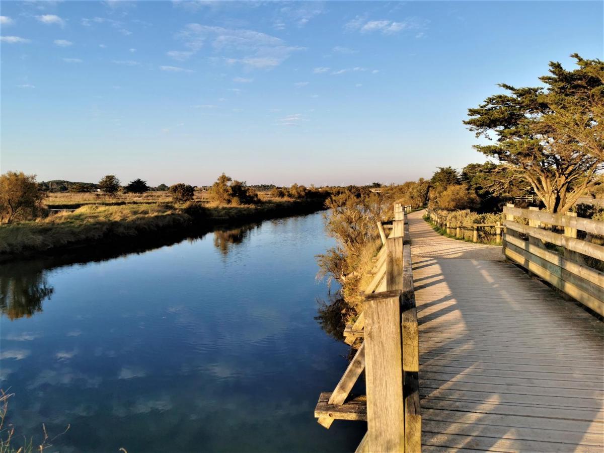 La Calypsette - Face Grande Plage Des Sables D'Olonne Les Sables-d'Olonne Ngoại thất bức ảnh